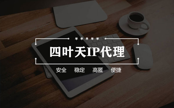 【红河代理IP】如何快速搭建代理IP？怎么检查代理的效果？