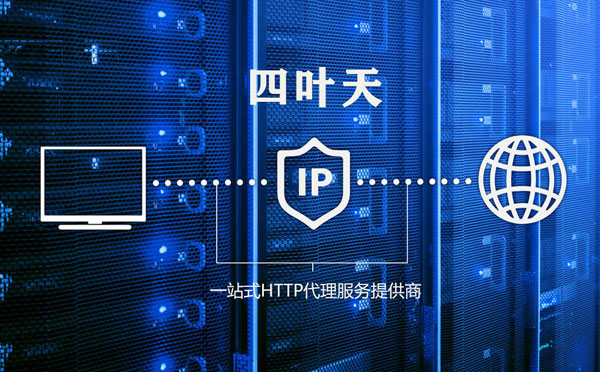 【红河代理IP】代理IP的主要用途和使用注意事项